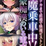 色魔乗車中！！性豪痴○のいる電車～終日、ナカまで直通で快速ピストン！！～