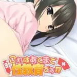 これはあくまで性教育です！？～義兄妹の秘密のセックス～モザイク版