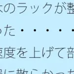 木のラックが整った・・・・・速度を上げて部屋に散らかった石を整頓