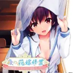 夜の花嫁修業〜幼馴染とイチャラブ秘密えっち〜 モザイク版