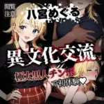 異文化交流 極太黒人チンポで初体験 -八宮めぐる-