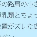 朝の路肩の小さな哺乳類とちょっと位置がズレた広場のベンチ