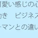 可愛い感じの心の動き  ビジネスウーマンとの違い  俯瞰してみたら・・・・・