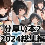 分厚い本2（2024年総集編第二弾）