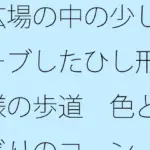 広場の中の少しカーブしたひし形模様の歩道  色とりどりのコーン