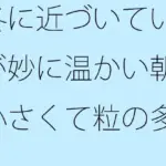 冬に近づいているが妙に温かい朝  小さくて粒の多い雨が降ってきた
