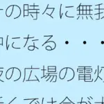 その時々に無我夢中になる・・・・夜の広場の電灯の近くでは今が大切