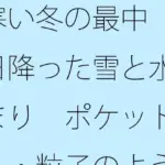 寒い冬の最中  昨日降った雪と水たまり  ポケット・・・粒子のようなことが