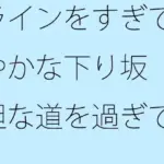 ラインをすぎて緩やかな下り坂  平坦な道を過ぎて今上っているような・・・  道標はないので