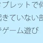 タブレットで何も起きていない部屋でゲーム遊び  少しは・・・