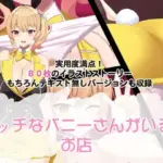 エッチなバニーさんがいるお店