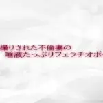 隠し撮りされた不倫妻の唾液たっぷりフェラチオボイス