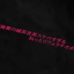 不倫妻の滅茶苦茶スケベすぎるねっとりフェラチオボイス