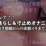 焦らし寸止めオナニー