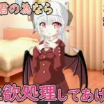 弟君の性欲処理はお姉ちゃんがしてあげる