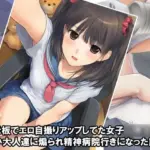 『掲示板でエロ自撮りアップしてた女子〇〇〇が悪い大人達に煽られ精神病院行きになった記録』