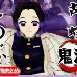 胡蝶しのぶが画面から出てきてイチャラブエッチする動画、野外プレイも合わせて動画4本パック