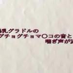某爆乳グラドルのグチョグチョマ〇コの音と喘ぎ声が流出