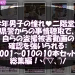 学業成績学年一位の二階堂沙耶・県警からの事情聴取で、自らの盗撮被害動画の確認を強いられる:Vol.R001-010までの10本セット総集編！