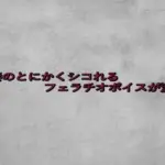 若妻のとにかくシコれるフェラチオボイスが流出