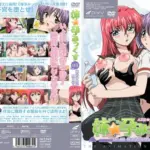 姉☆孕みっくす Vol.03 姉の子宮を堕とせ！