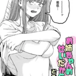 お姉ちゃんのせいだから（単話）