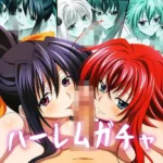 ハーレムガチャ Vol.03（ハイ〇クールD×D）