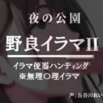 夜の公園ー野良イラマ2