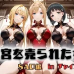 子宮を買われた女 〜性奉仕に人生を尽くす〜 チャイナ娘ver ソードアートオンライン編