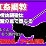 美空 〜堕ちた清楚系JDの肛姦調教日誌〜