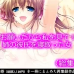 お願いだから私を見て！姉の彼氏を寝取った女 ＜総集編＞