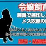 銀の首輪 ―社長令嬢・桜庭ちひろの調教記録―