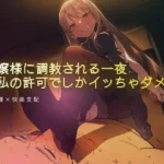 お嬢様に調教される一夜