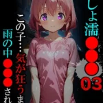 びしょ濡●●● モザイク版（3）